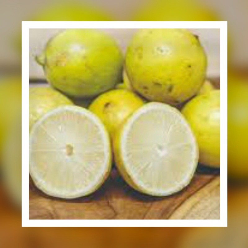 

LEMON LOKAL PER 500 GRAM 12.990