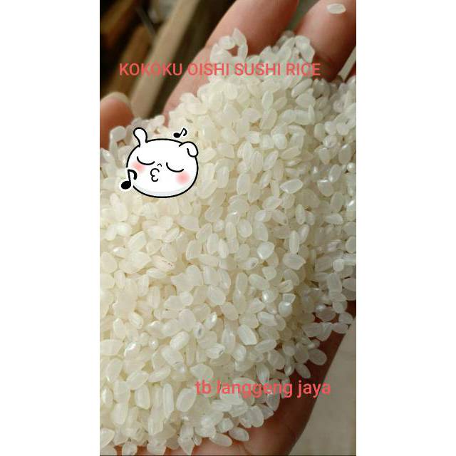 

BERAS JEPANG JAPONICA 1KG