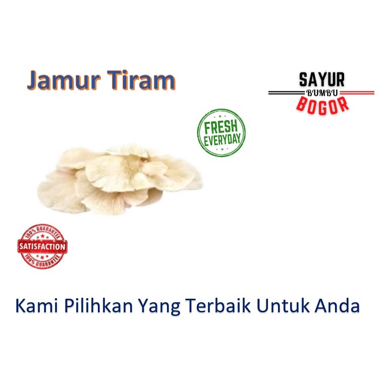 

Jamur Tiram / Sayur Segar / Sayur Bumbu / Sayur Bumbu Bogor / Sayur Murah