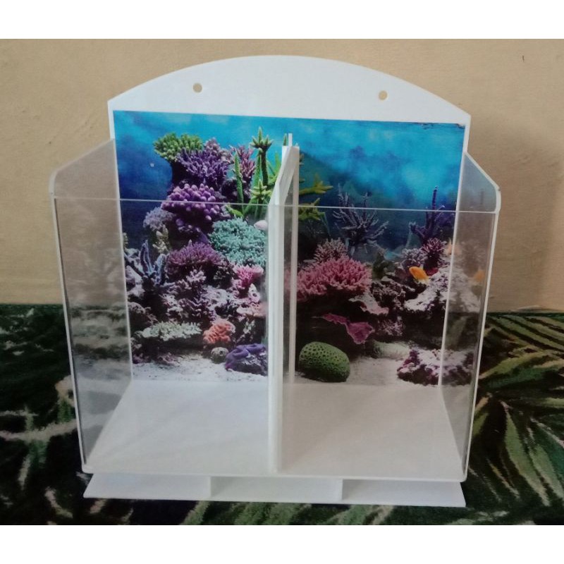 Aquarium mini hias skat 2 gantung/meja