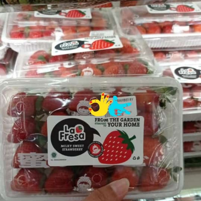 

Strawberry la fresa bibit korea