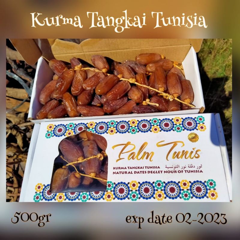 

kurma tangkai tunisia"palm tunis