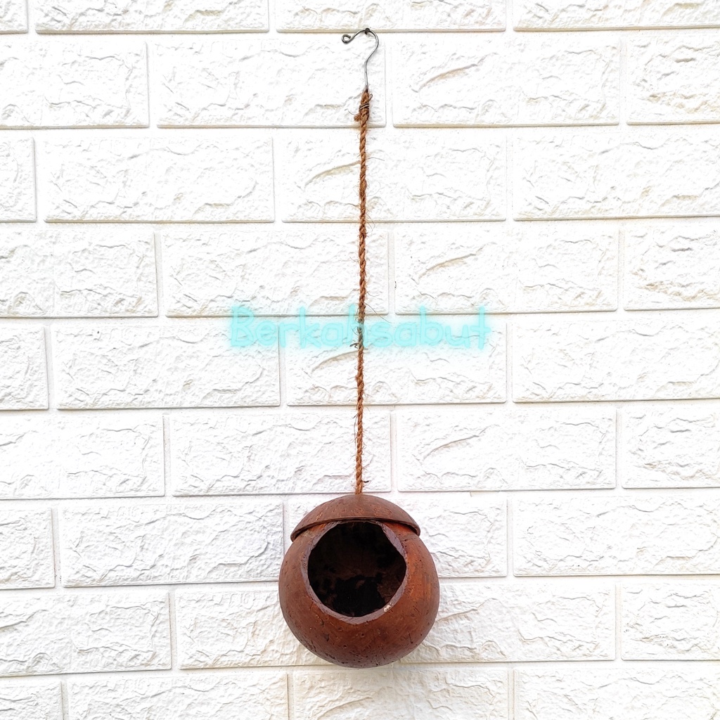 GLODOK BATOK KELAPA HIASAN GANTUNG | SANGKAR LOVE BIRD