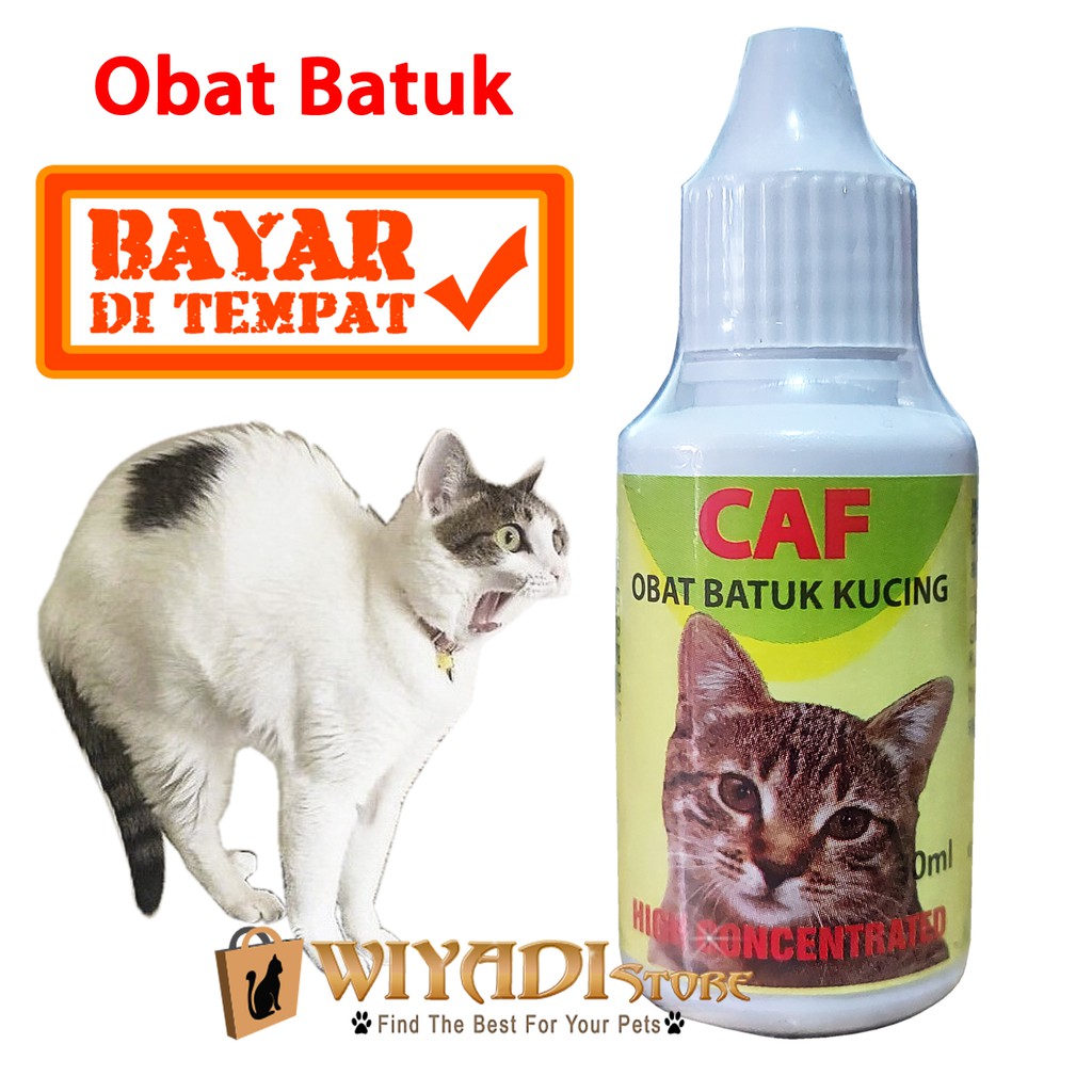 CAF - Obat Batuk Flu Bersin Kucing Terdaftar DEPTAN