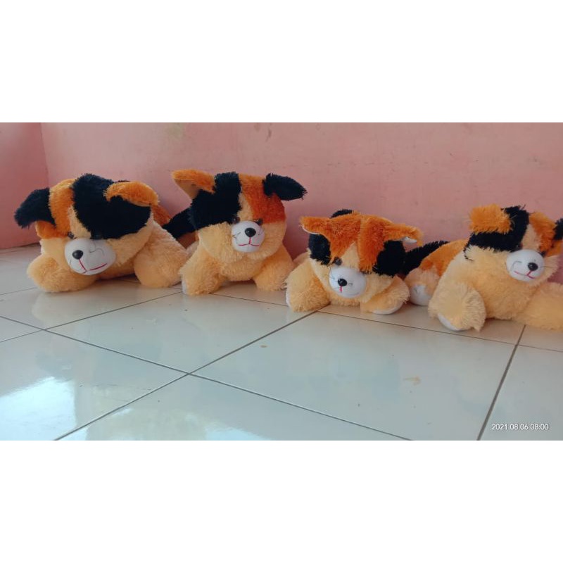 boneka kucing cantik lucu jumbo