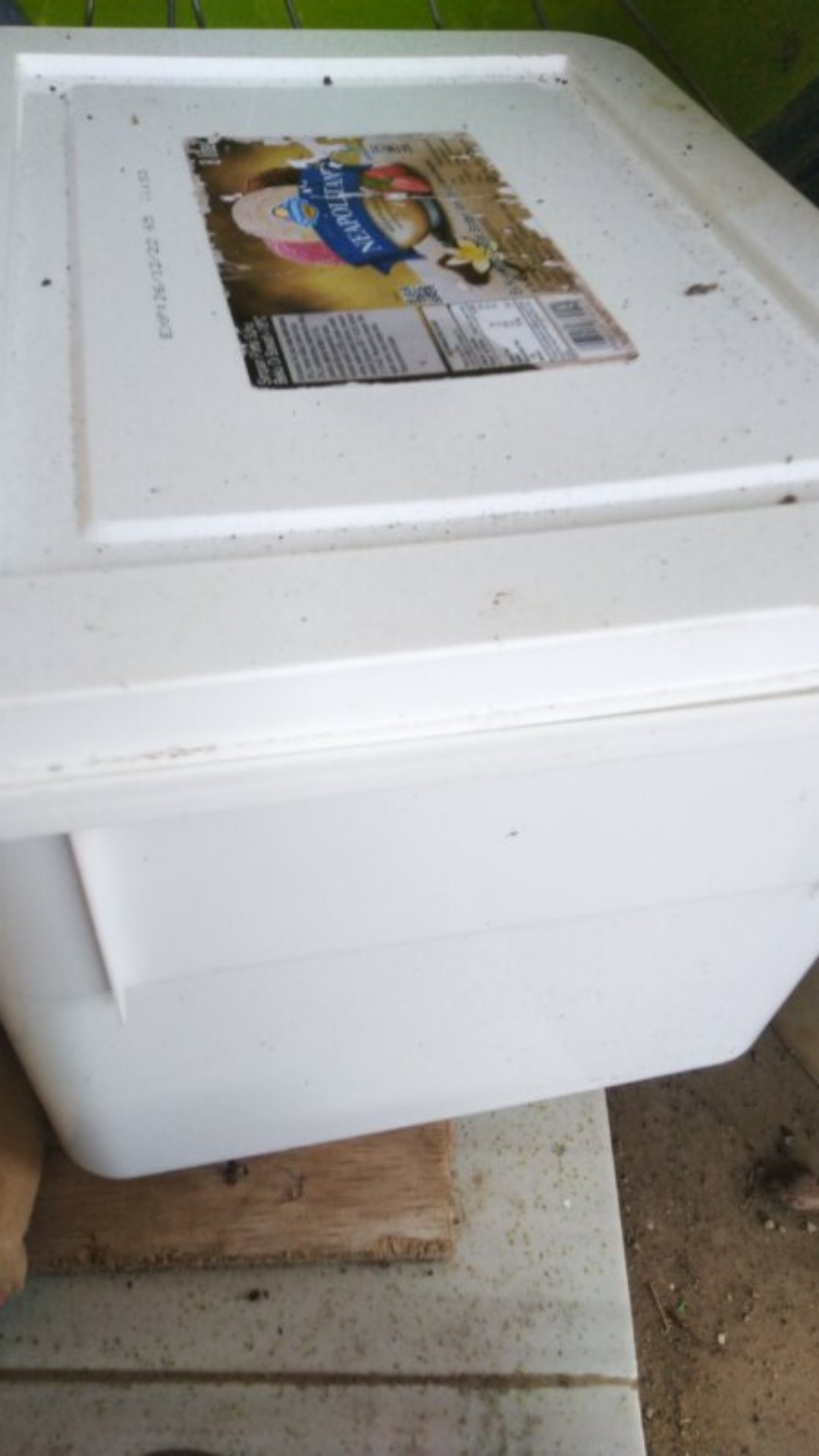 Ember / Box Es Krim (harga Murah Khusus P.o)