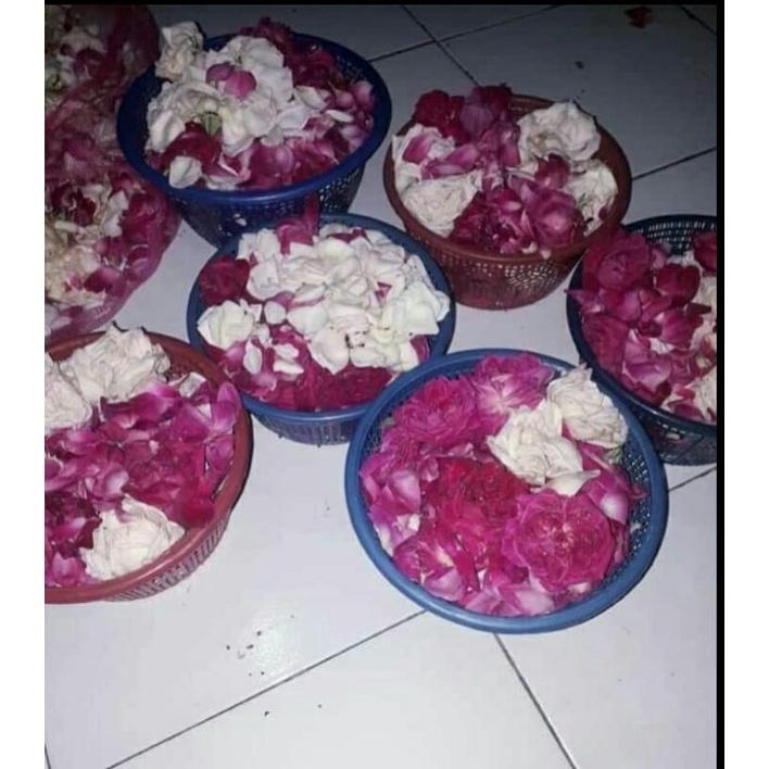 bunga mawar tabur kampung/jawa wangi mawar pink/ungu putih