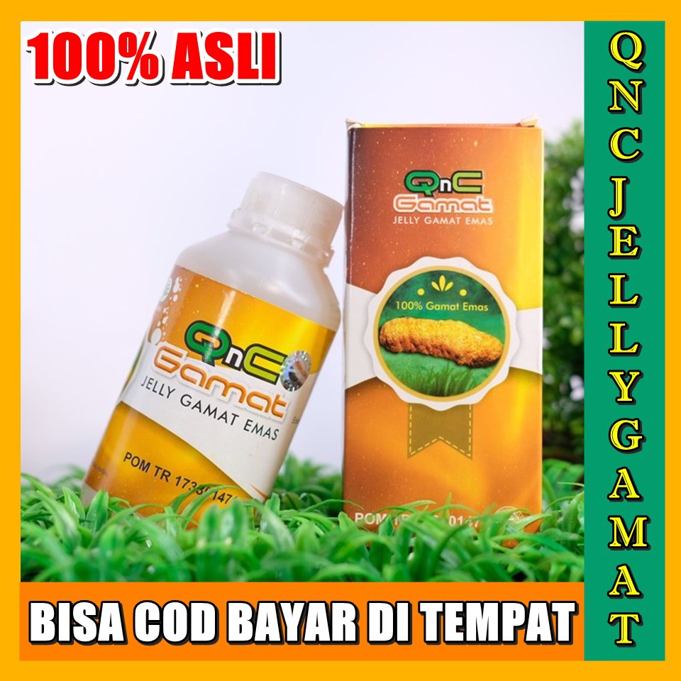 Qnc Jelly Gamat Asli Obat Herbal Untuk Penyakit Paru Paru Infeksi Paru Cairan Paru Paru Flak Paru Indonesia