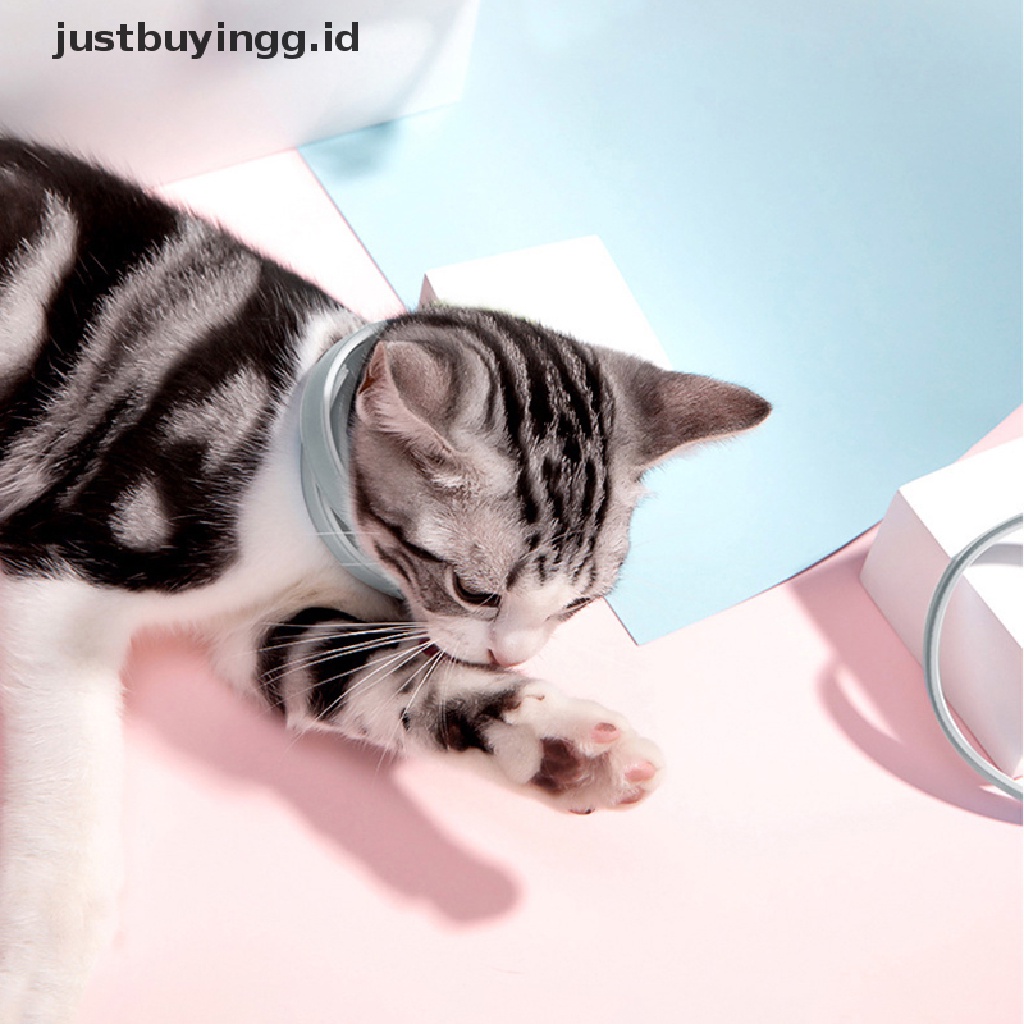 (Justbuyingg.Id) Kalung Leher Anjing / Kucing Anti Kutu / Nyamuk