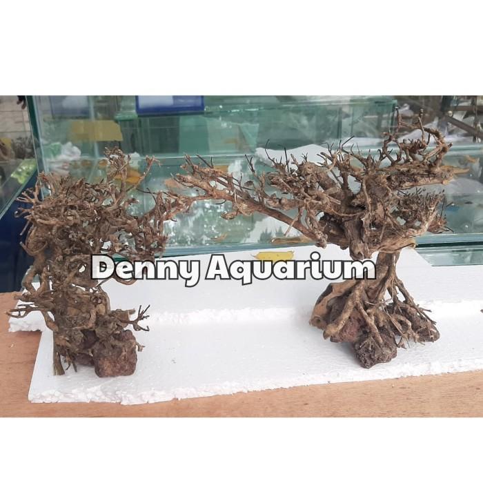 Aqua | Kayu Santigi Pasir Aquascape