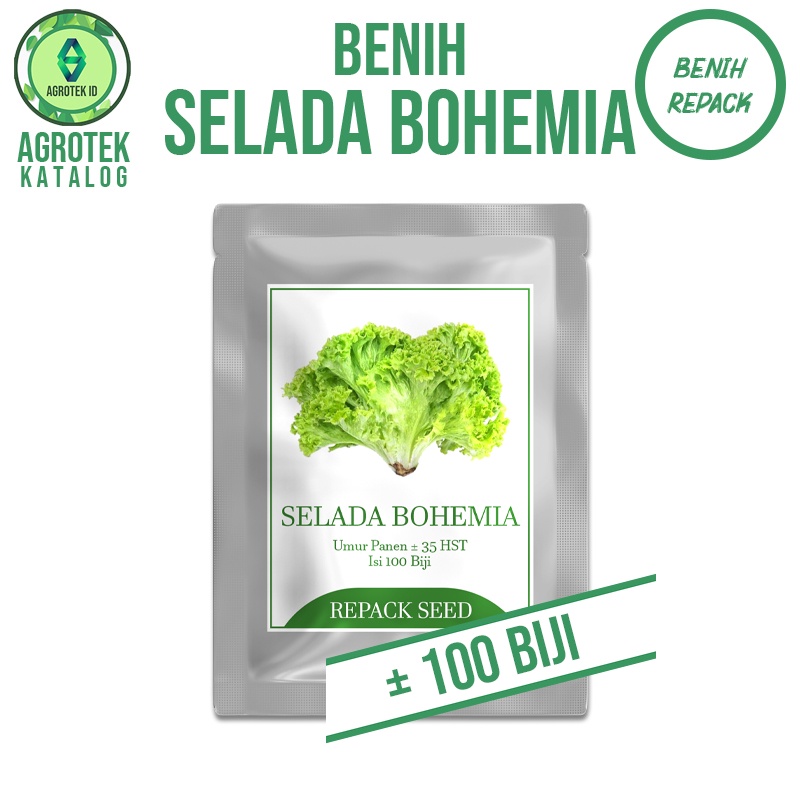 Benih Bibit Biji Selada Bohemia Berkualitas Super