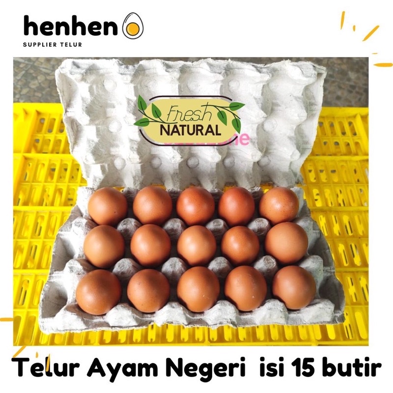 

Telur ayam negeri 15 butir egg tray