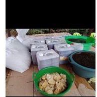 

MADU MURNI KEMASAN 3KG