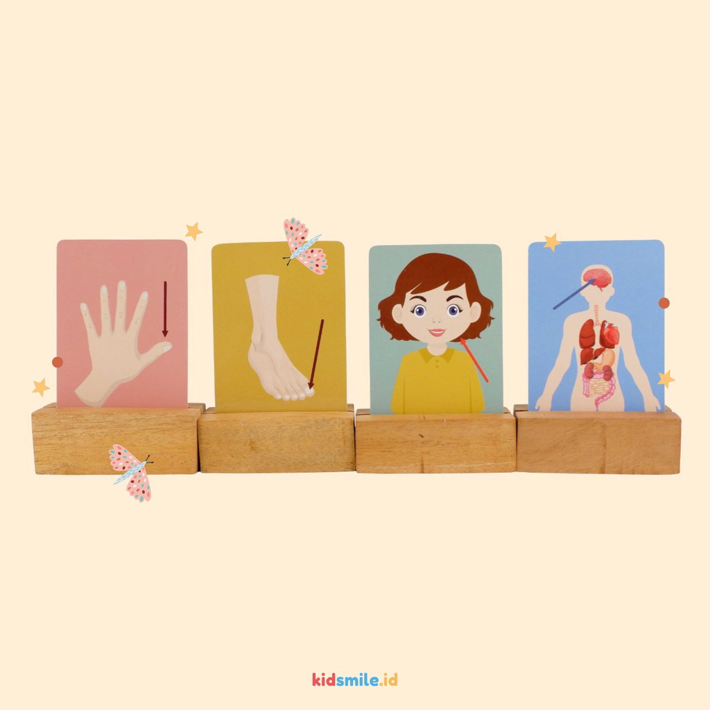 Flash Card Kidsmile ANGGOTA TUBUH Mainan Edukasi Anak Flashcard Anak Flash Card Anak Montessori