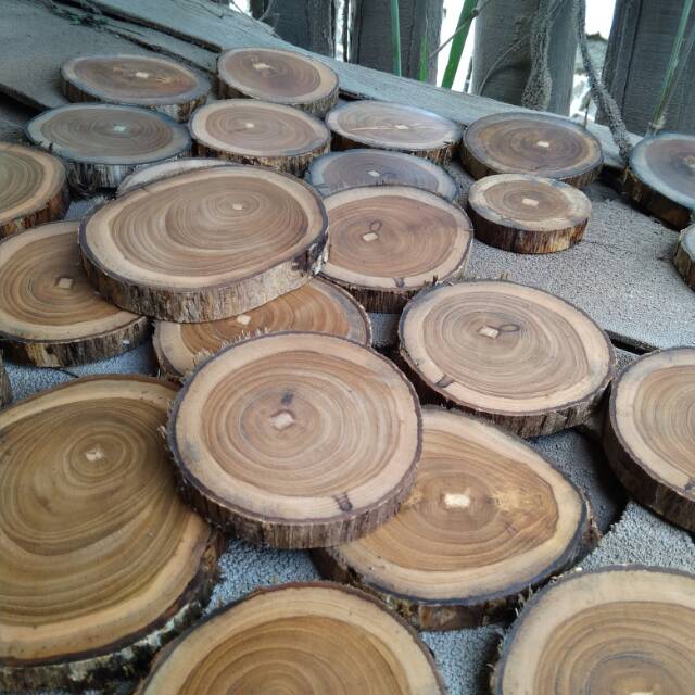 Wood slice potongan kayu  jati diameter 16 17 cm Shopee 