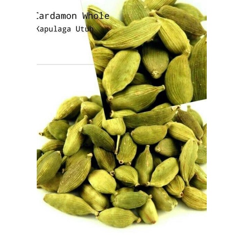 

populer] Kapulaga Hijau 50g / Green Cardamon / Import