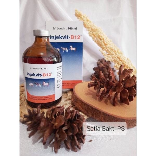 Injeksi Vitamin B12 100ml Medion