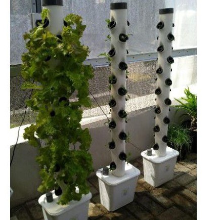 tower hidroponik vertikal hidroponik pipa 4inch 30 lubang