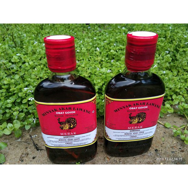 ORIGINAL BAYAR DITEMPAT BOSSQUU [COD] ASLI Minyak Akar Lawang TERJAMIN