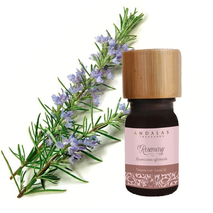 Langsung Order Rosemary Essential Oil 5ml % murni Therapeutic Grade Berkualitas