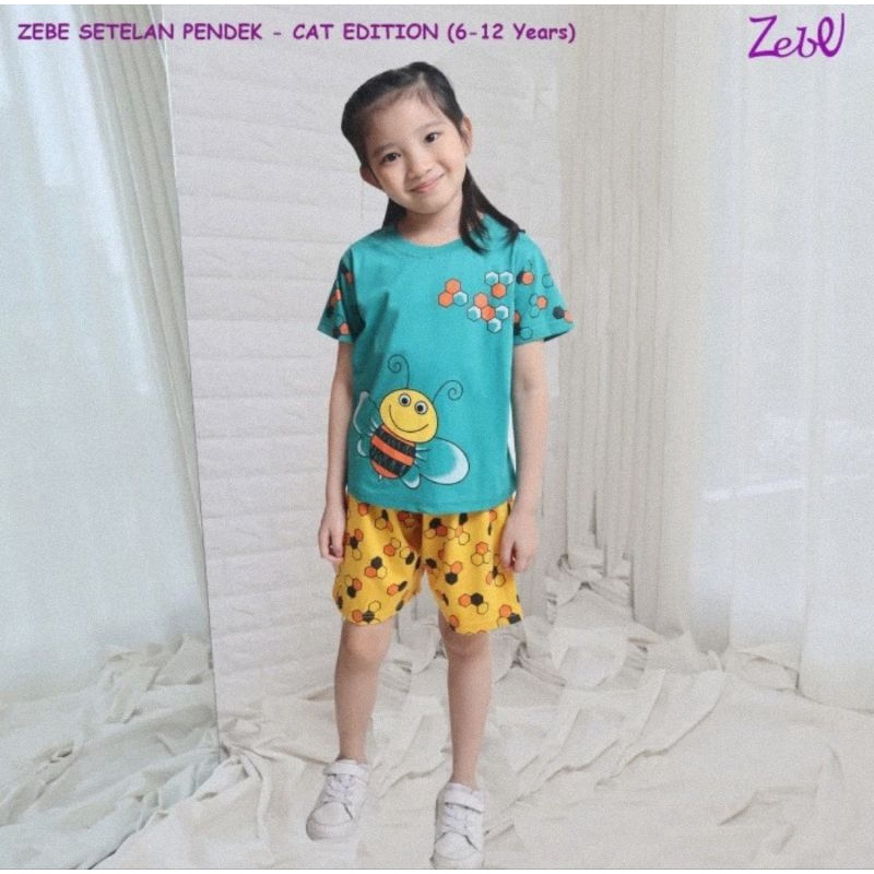 Zebe Setelan Baju Lengan Pendek Celana Pendek Cat Edition - Baju Anak