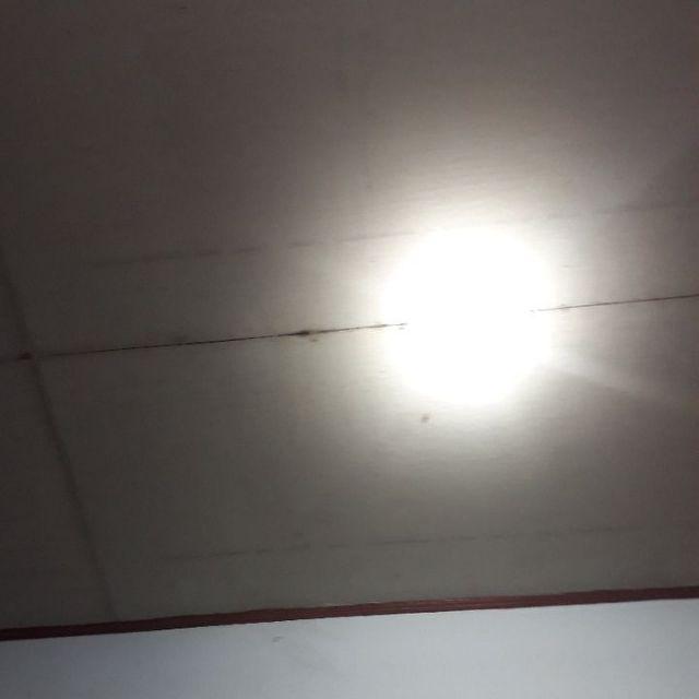 Lunch Box Mini Yooyee/ Kotak Makan Yooyee