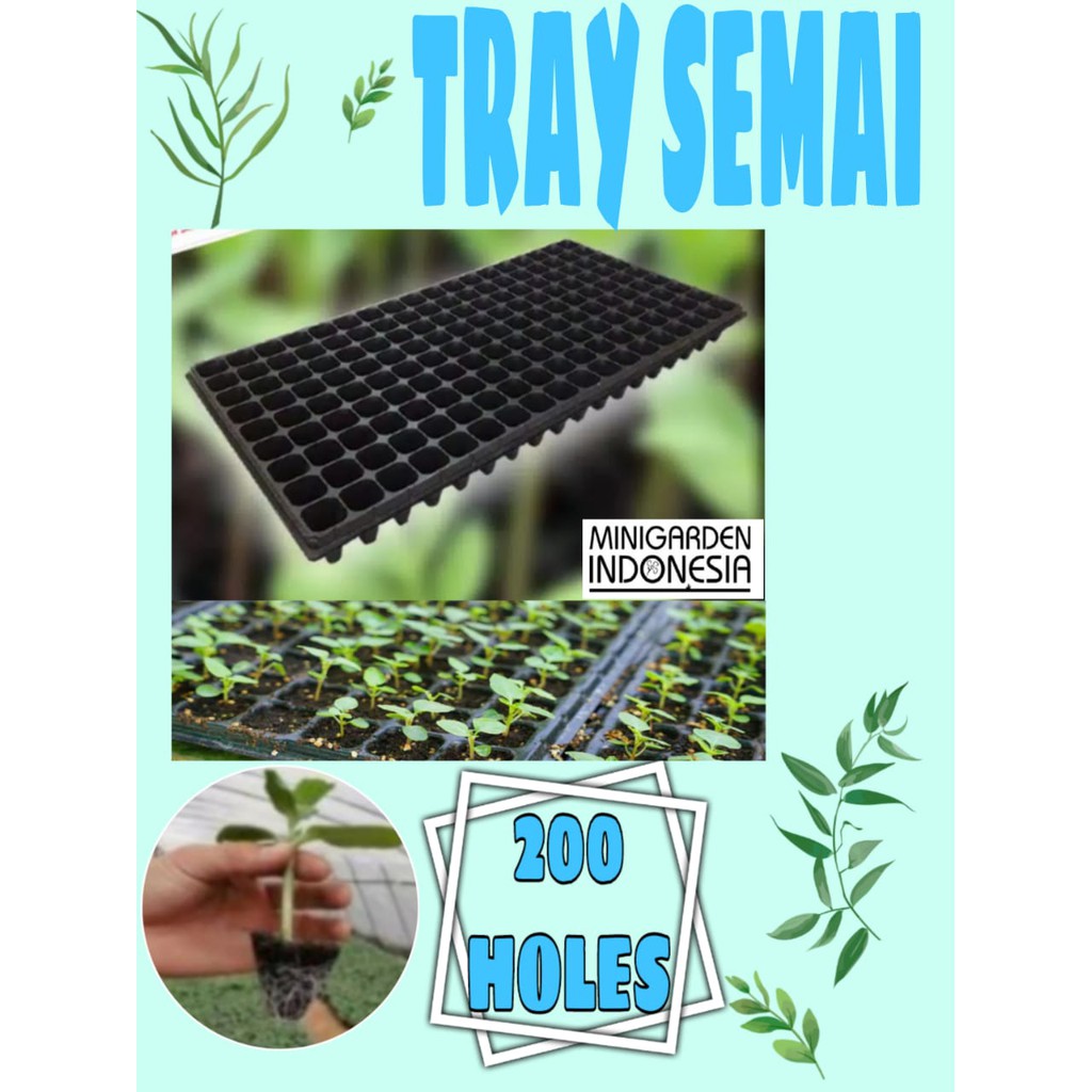 TRAY SEMAI POT TRAY 200 LUBANG Traypot Bibit Biji Nampan Benih Seedling pot Hidroponik tanaman