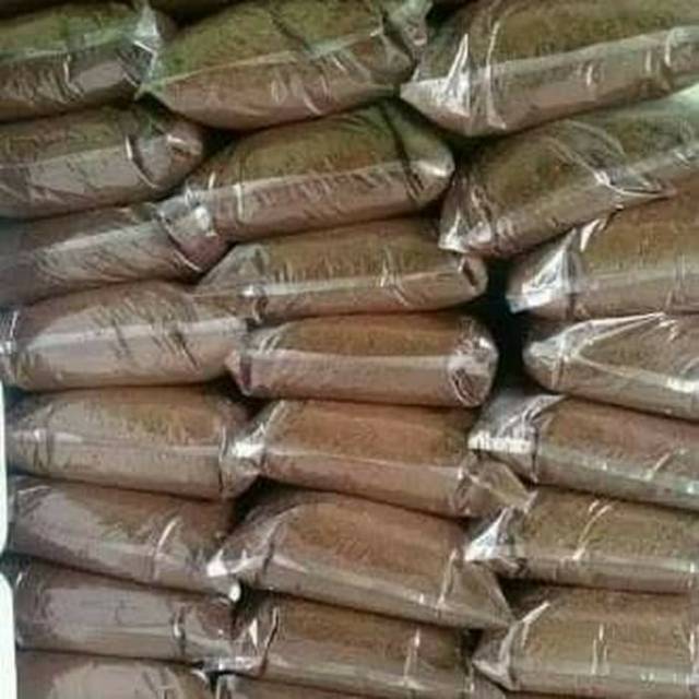 Media tanam pupuk kandang - pupuk tai kambing