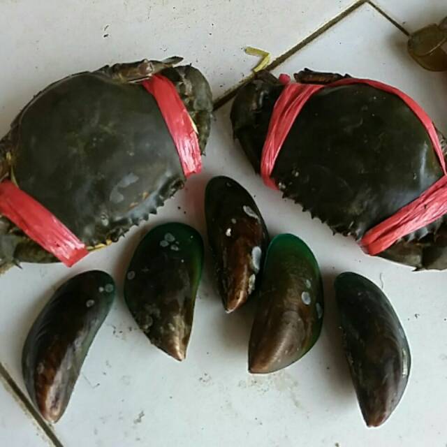 

Paket Hemat 5kg ( piting telur titik1kg+ijo4kg )