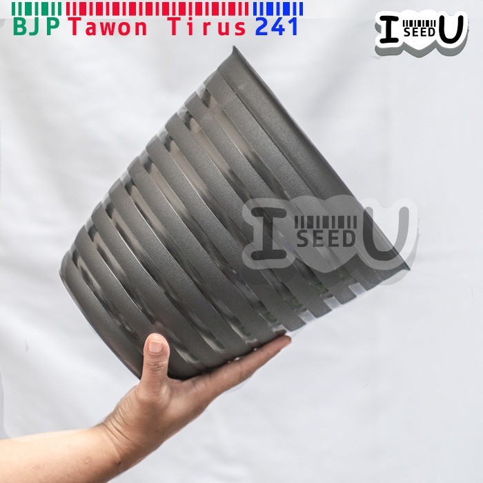 Pot Bunga Tawon Tirus/Pirus Ori 241 Hitam (BJP)