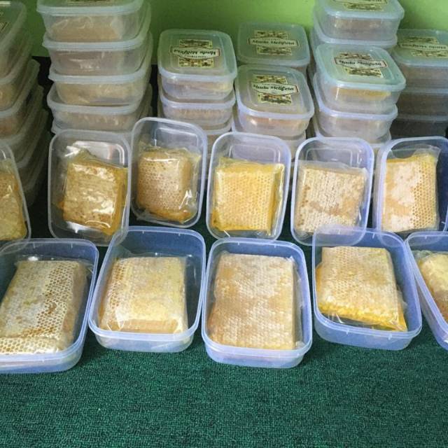 

Sarang madu melifera