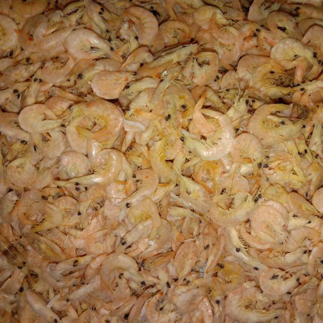 

Udang manis isi 250 gram