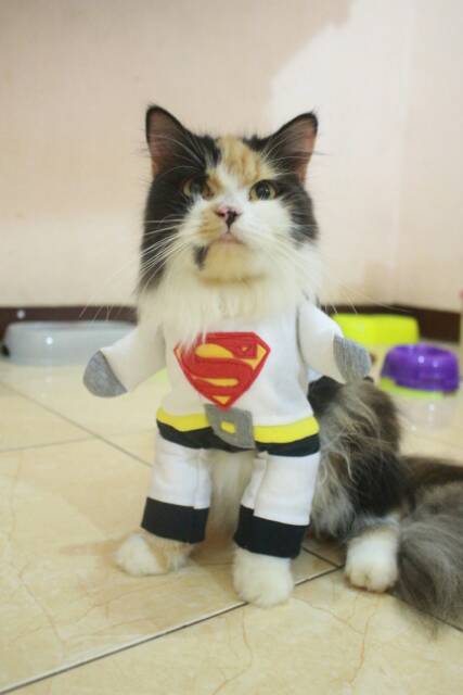 Kostum white superman untuk kucing dan anjing / kostum superhero hewan size S M L XL