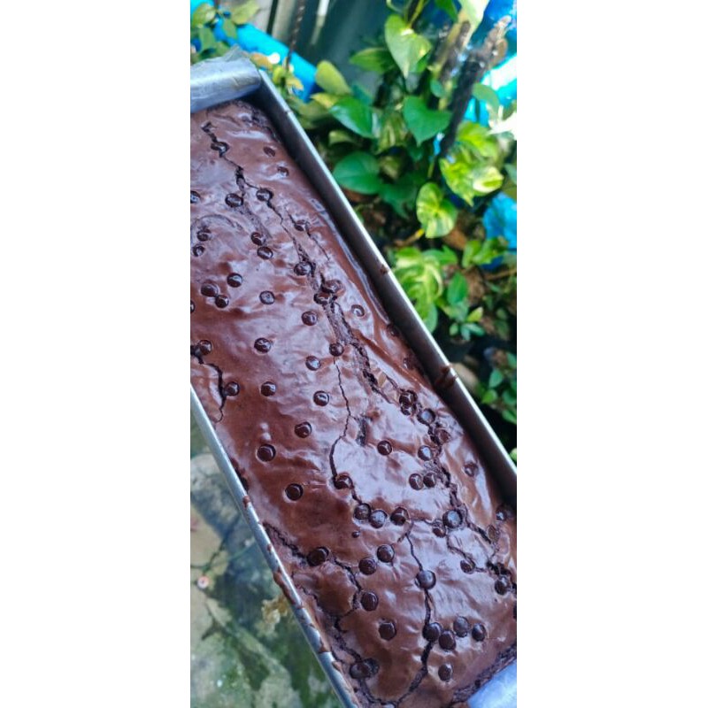 

brownies