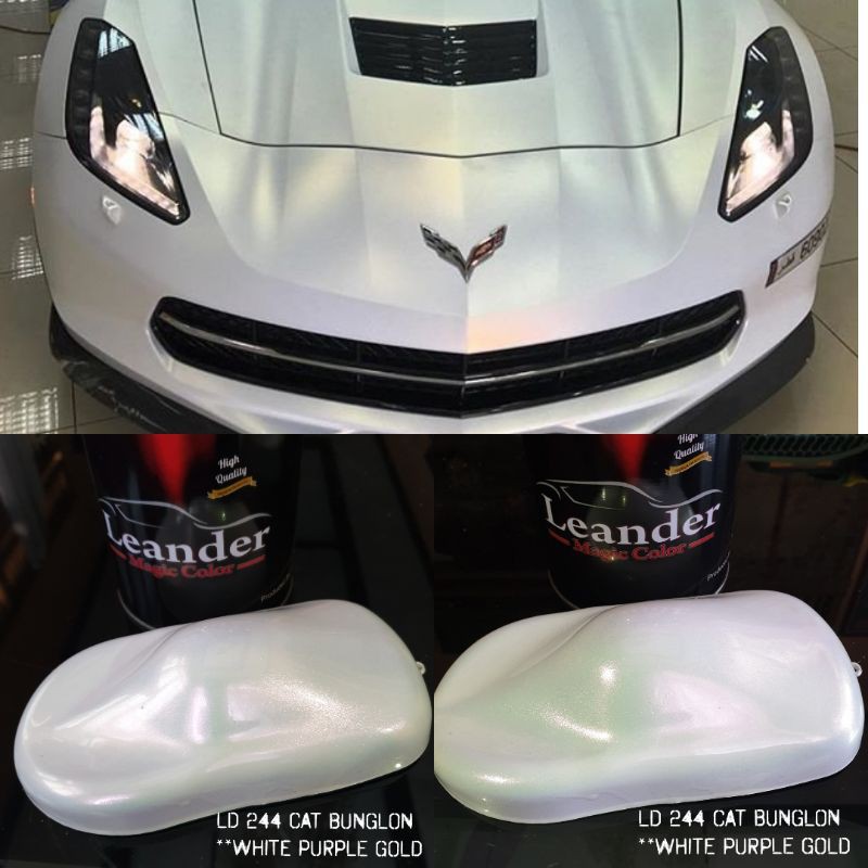 cat bunglon chameleon putih purple hijau