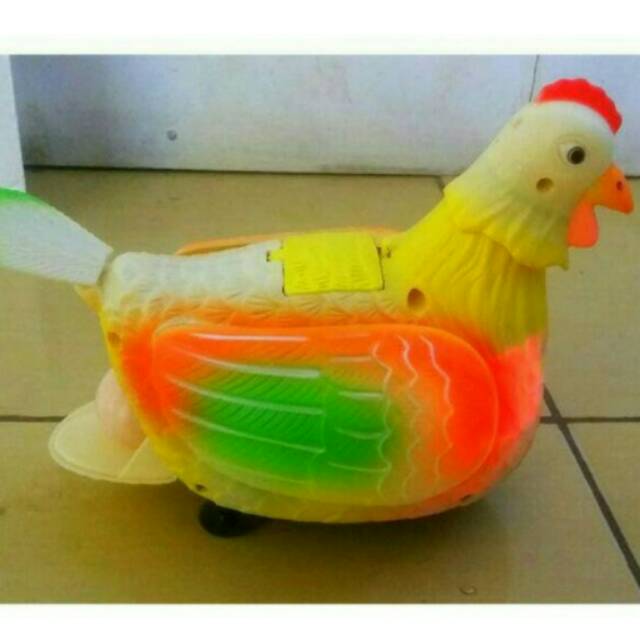 

Ayam bertelor