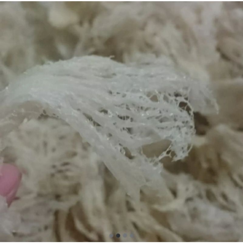 

sarang burung walet patahan (50gram)