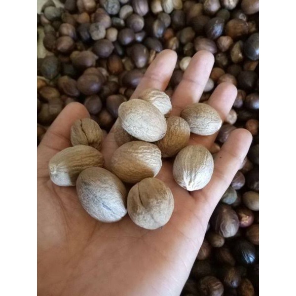 

biji pala super 500gr