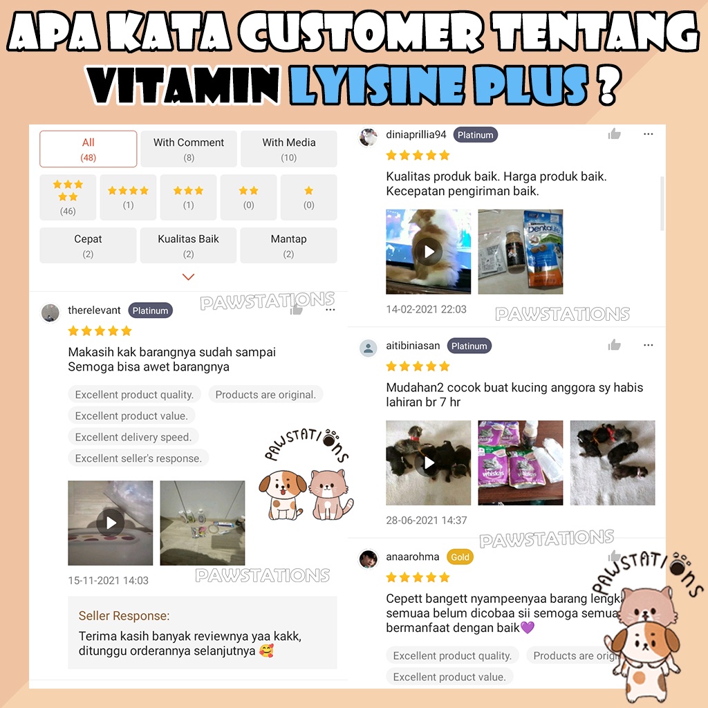 Cat Lysine Plus Vitamin Kucing Penambah Napsu Makan Meningkatkan Daya Tahan Imun Tubuh Kucing