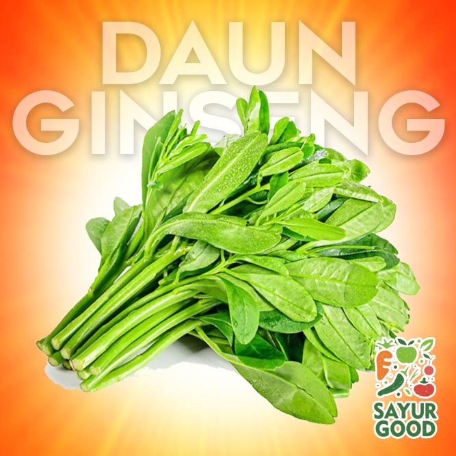 

Daun Ginseng Segar / Ikat