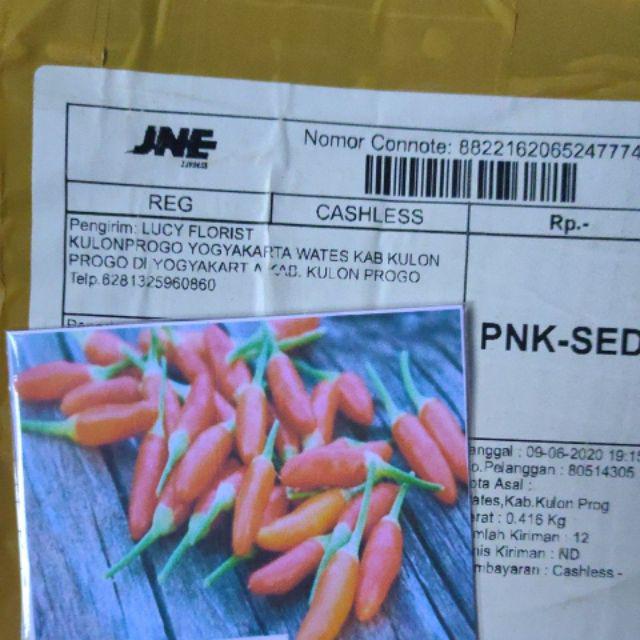 Cabe Rawit Pedas - 15 Benih