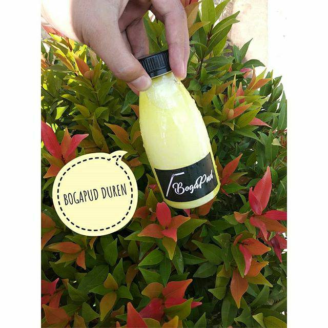 

BOGAPUD DUREN 350ML