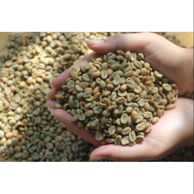 

greenbean arabika semende natural proses 1 kg