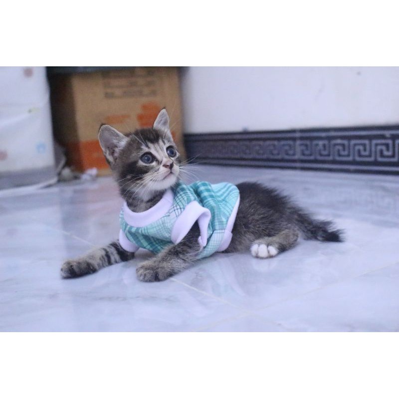 Kaos rumahan motif lucu #0211 untuk kucing dan anjing / baju kucing murah size S M L XL