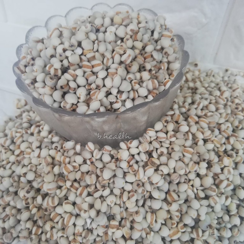 

Jali Jali Super Biji Besar 500gr Pearl Barley Jelai Hanjeli