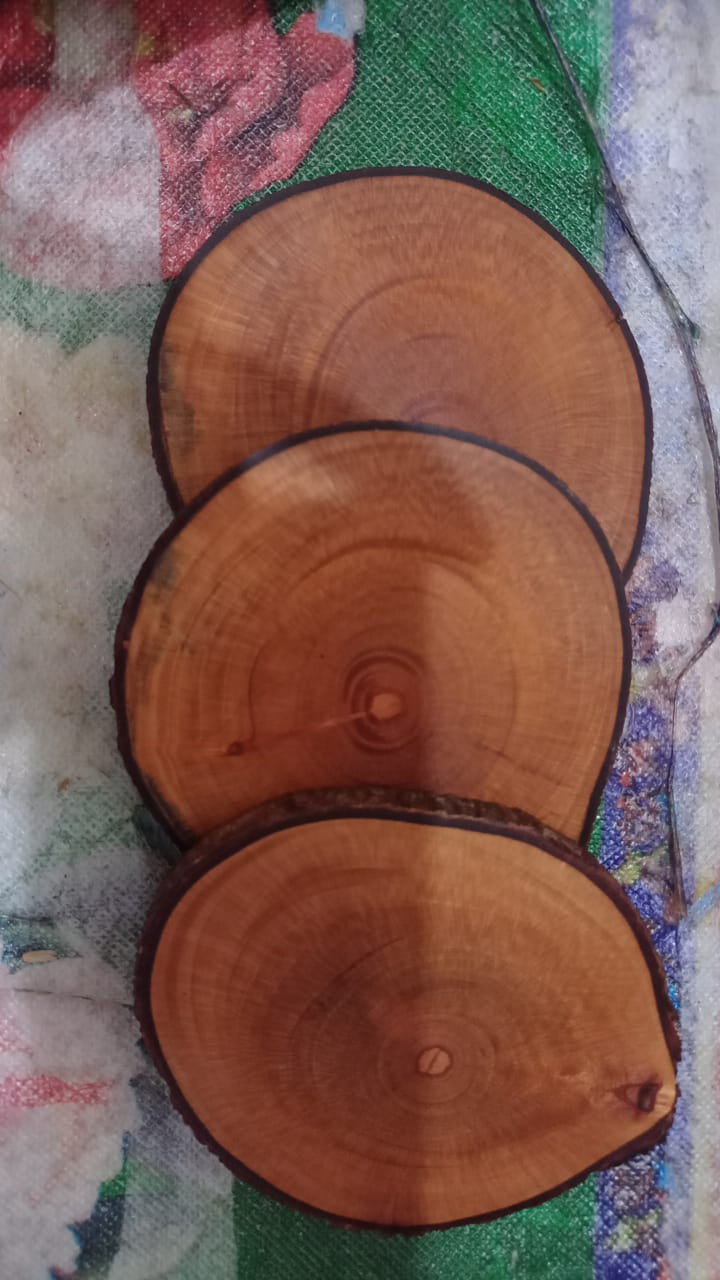 Dekornata Wooden Slice 10-14 Cm / Wood Slice/ Potongan Kayu Decor/alas Cangkir / Dekornata