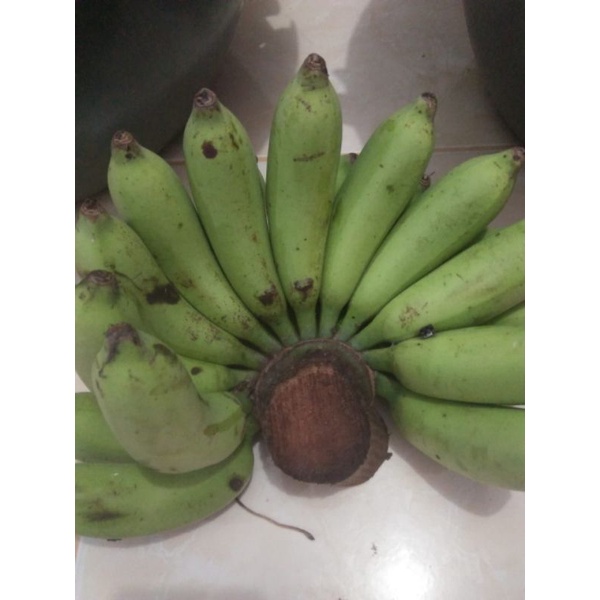

Pisang Pinang