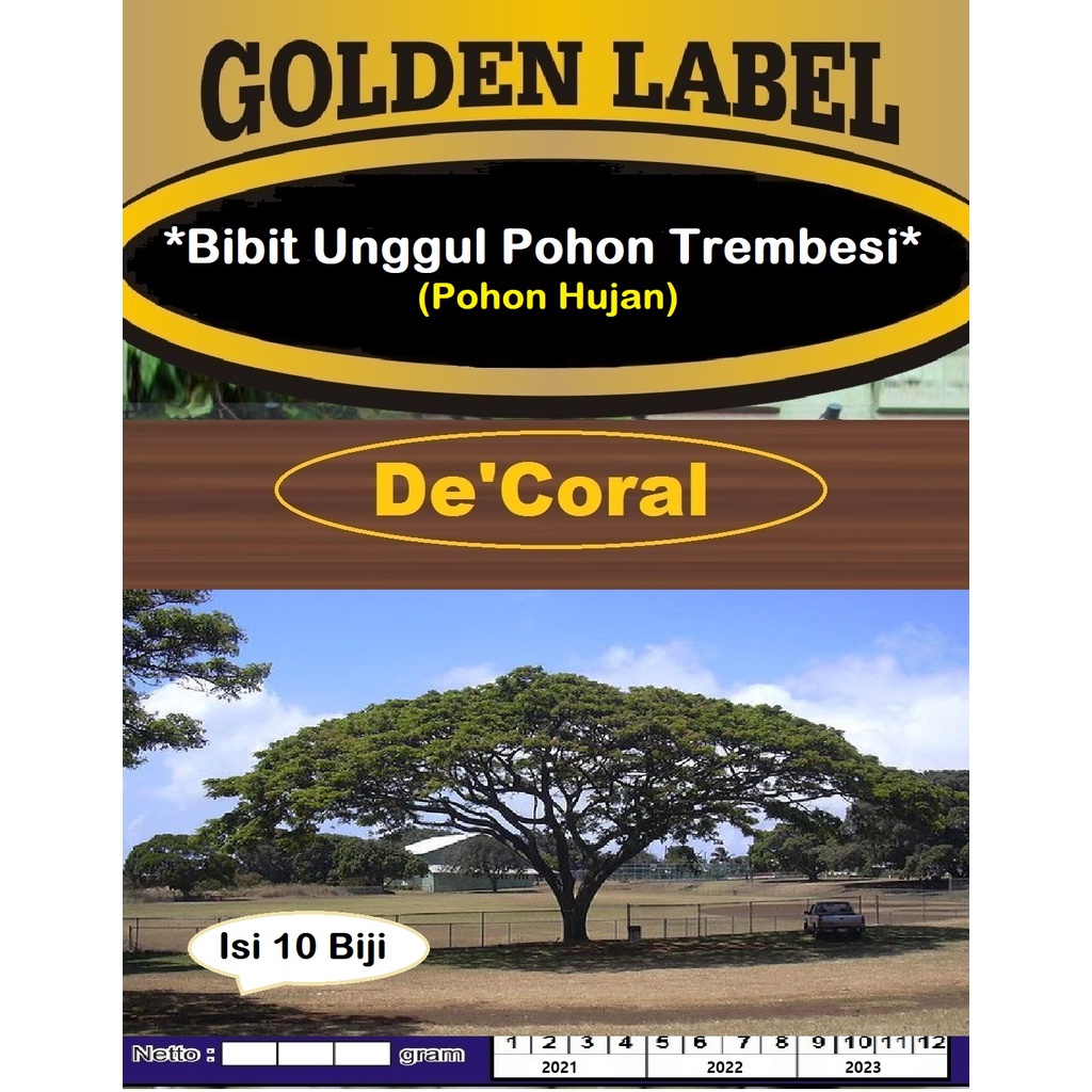 Bibit Unggul Pohon Trembesi Pohon Hujan | Benih Trembesi Pohon Hujan