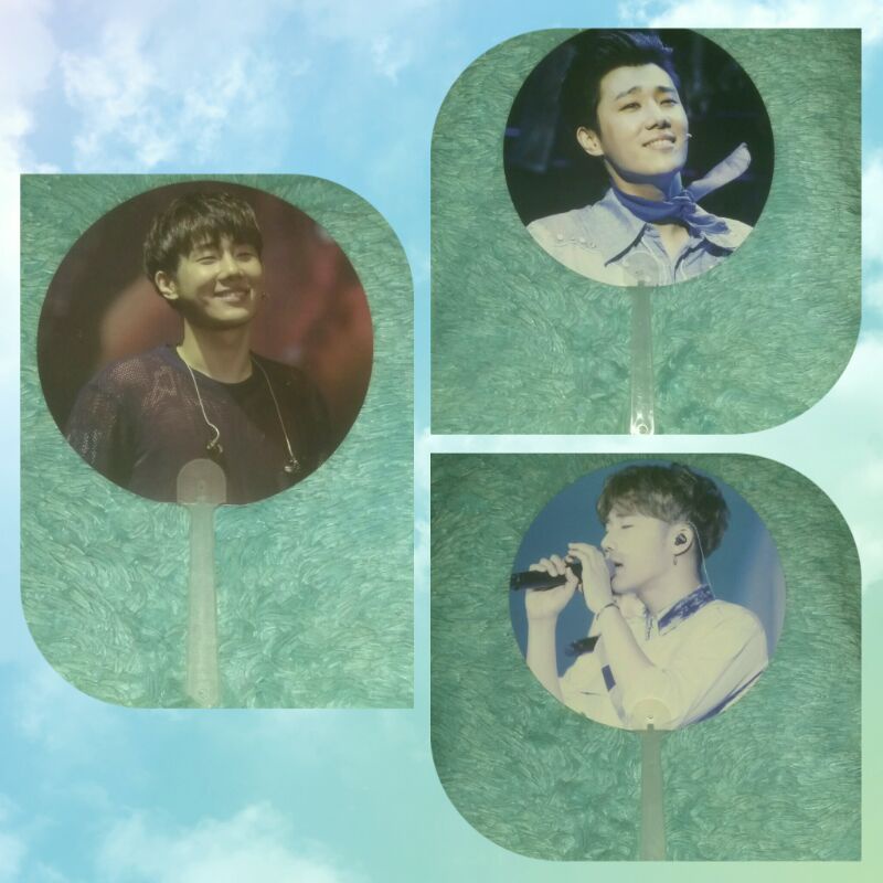 KIM SUNGKYU FAN / KIPAS KPOP