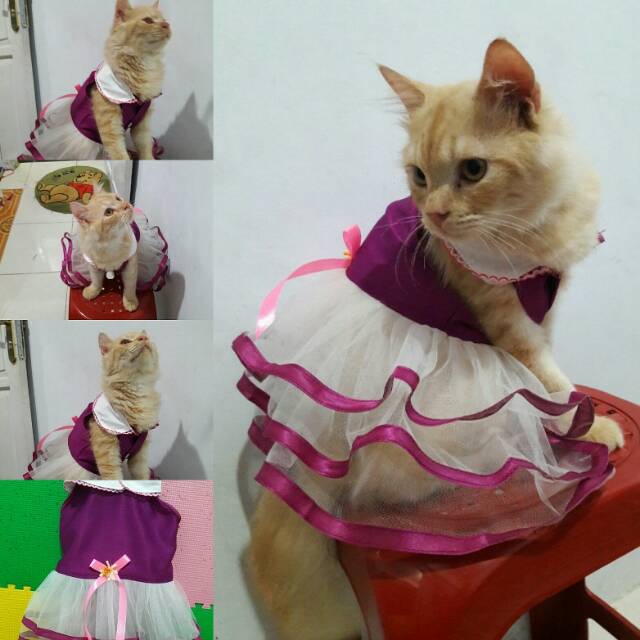 Dress princess ungu untuk kucing anjing / baju kucing anjing size S M L XL